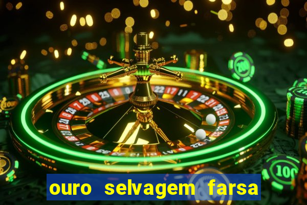 ouro selvagem farsa ouro selvagem o que aconteceu